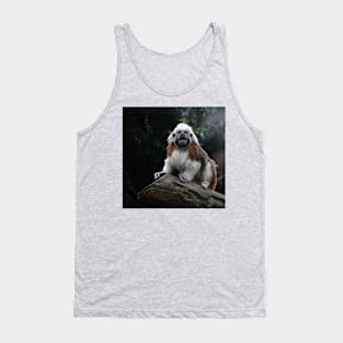 Cotton Top Tamarin Tank Top